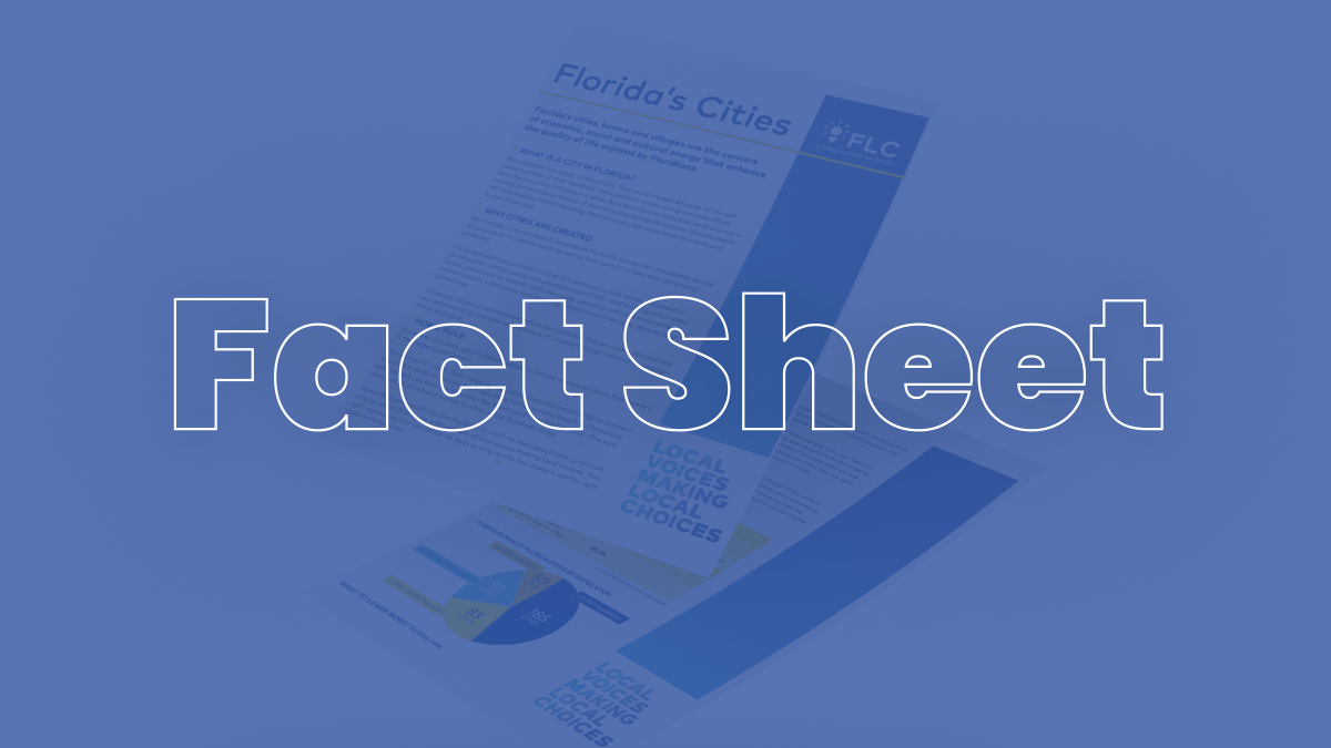Fact Sheet Icon